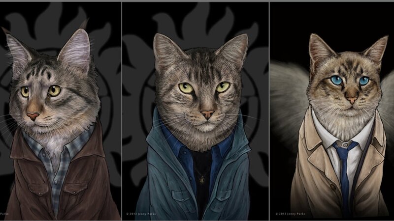 Three Cats in Jackets