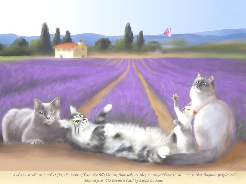 Three Cats in Lavender Field