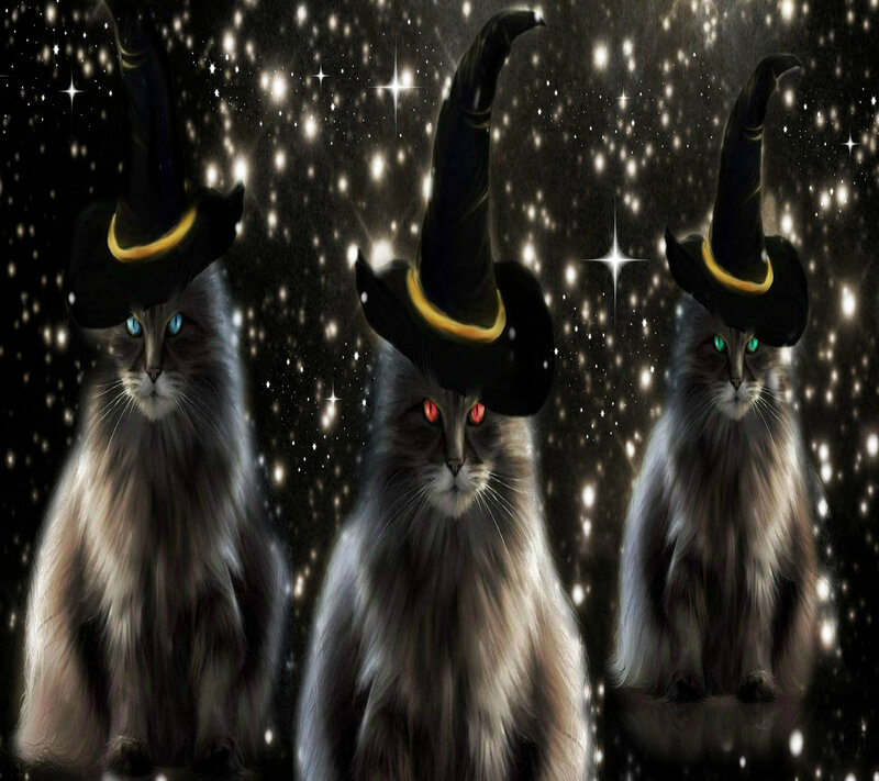 Three Cats in Witch Hats — Black