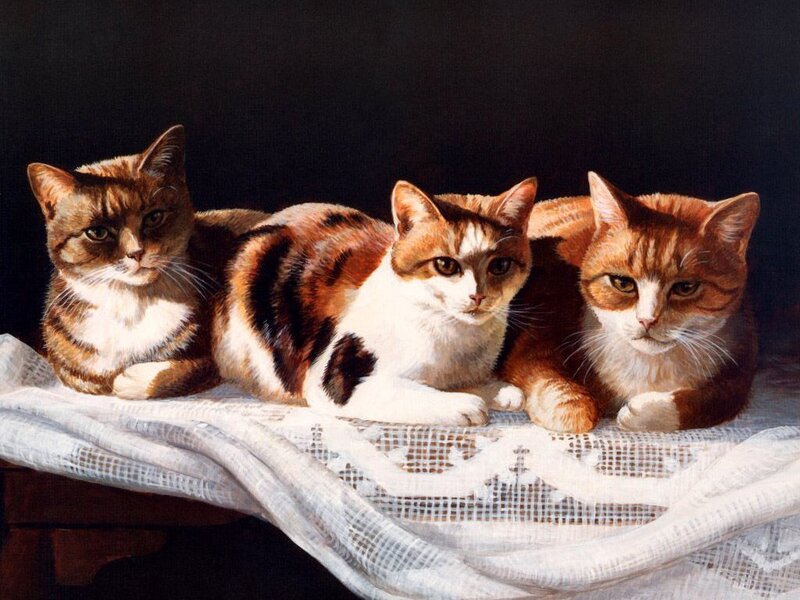 Three Cats on a Cloth