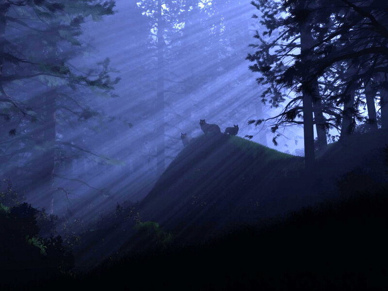 Three Cats on a Hill