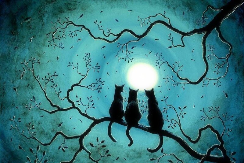 Three Cats on Branch