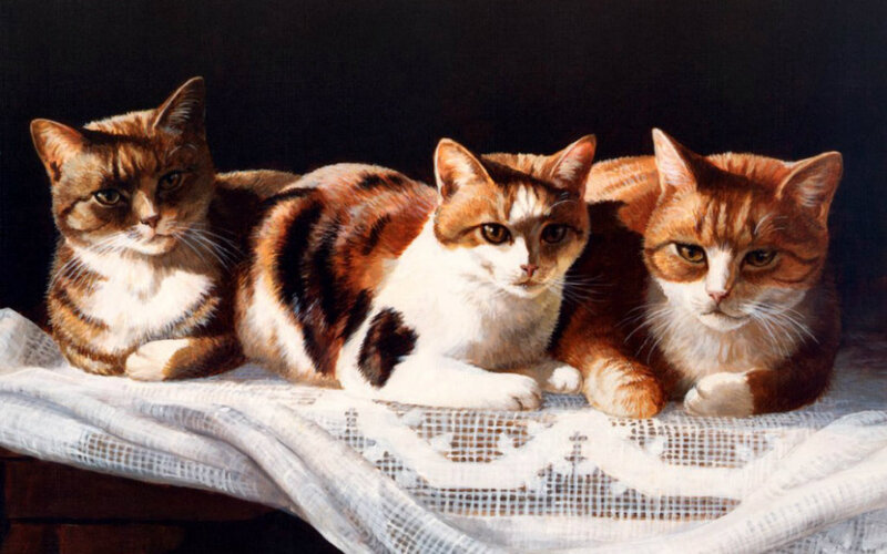 Three Cats on Cloth