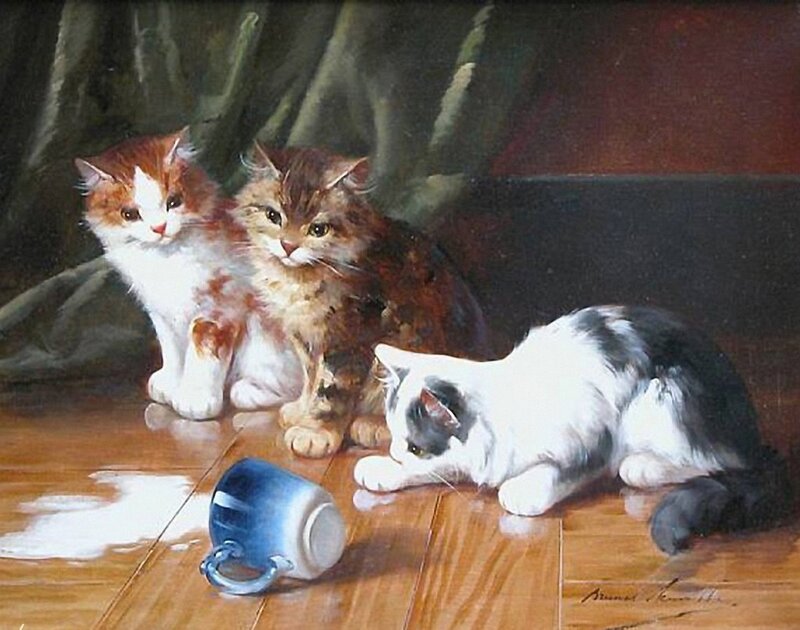 Three Cats on Floor