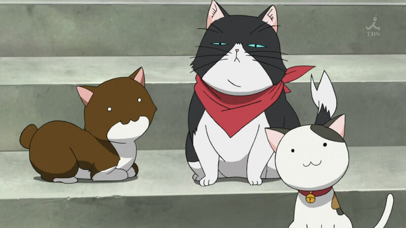 three cats on steps