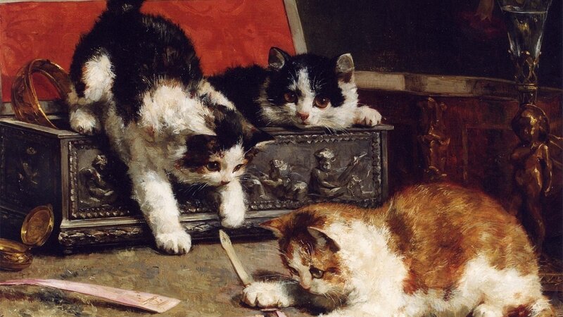 Three Cats Playing — Brown