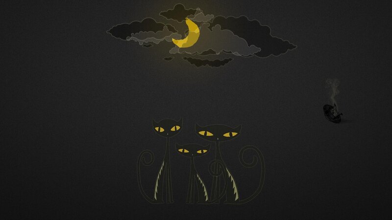 three cats under moonlight