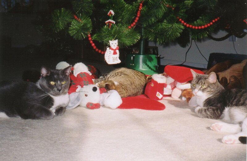 Three Cats under Tree — Green