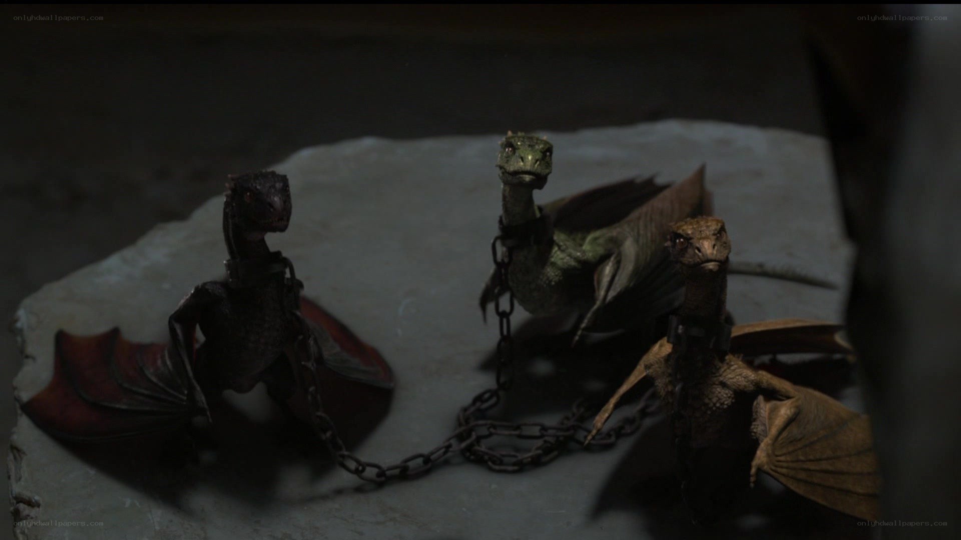 three chained baby dragons