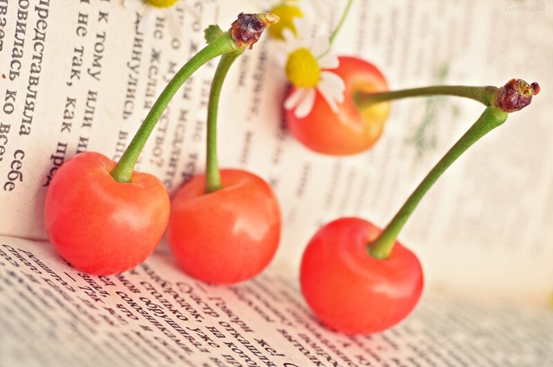Three Cherries on Book