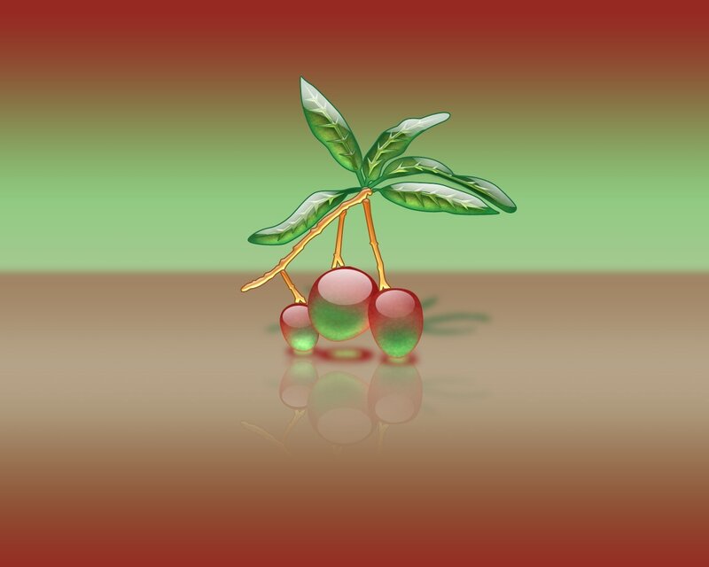 Three Cherries on Branch