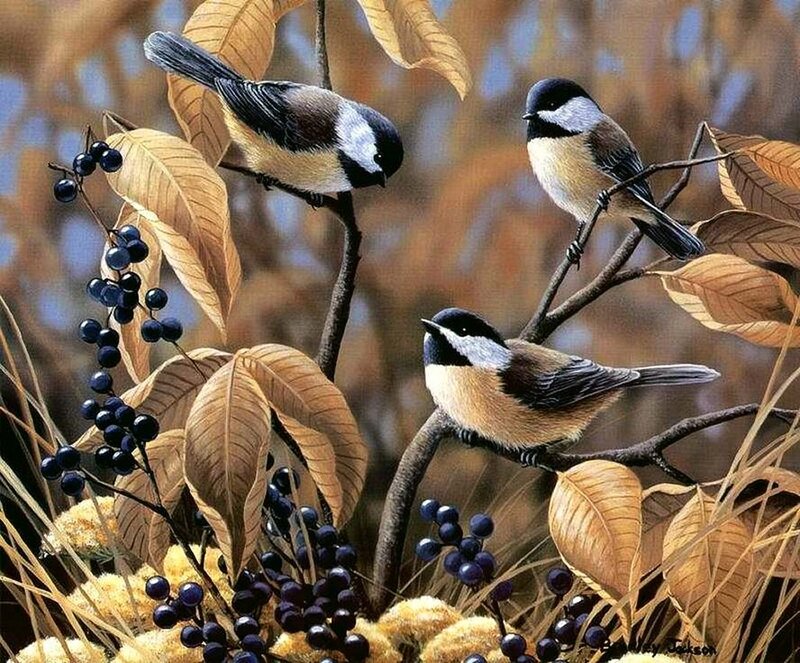 Three Chickadees on Branch — Brown
