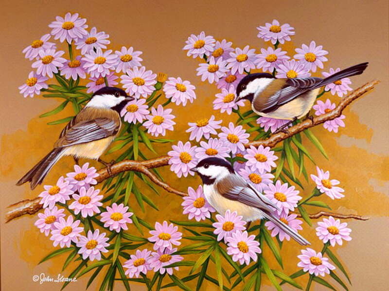 Three Chickadees on Flowers — Pink