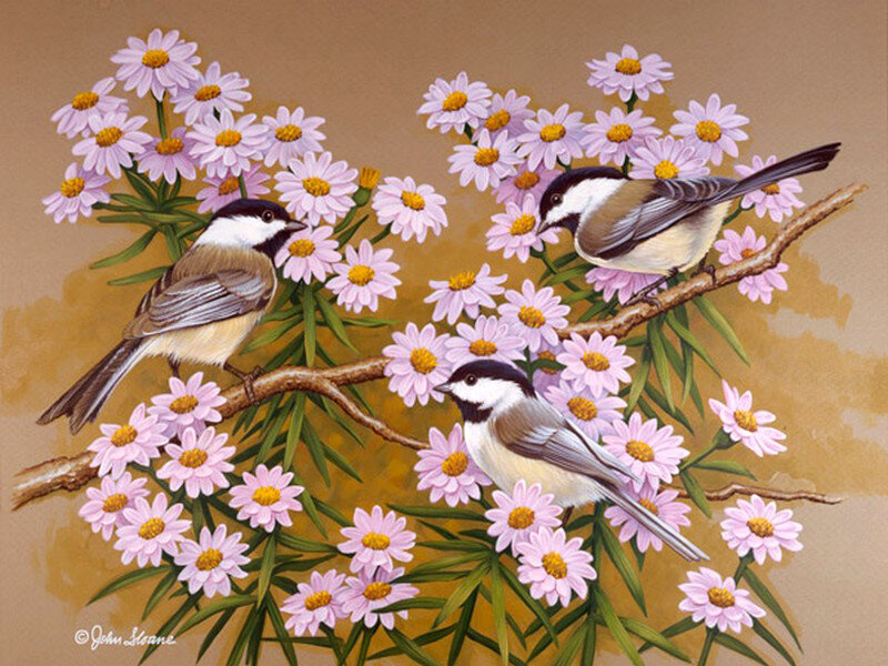 Three Chickadees on Flowers