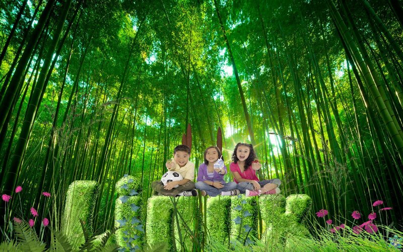 Three Children in Bamboo Forest