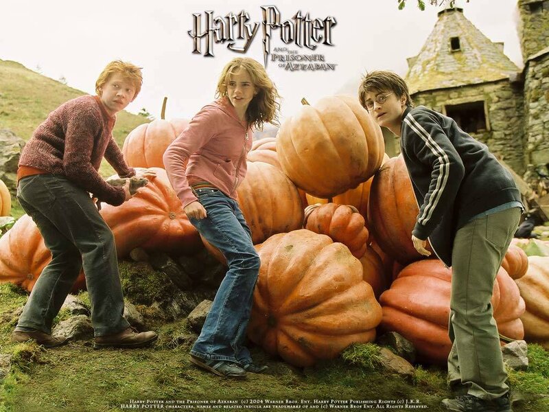 Three Children with Pumpkins — Orange, Playful