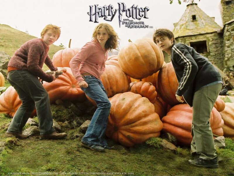 Three Children with Pumpkins — Orange