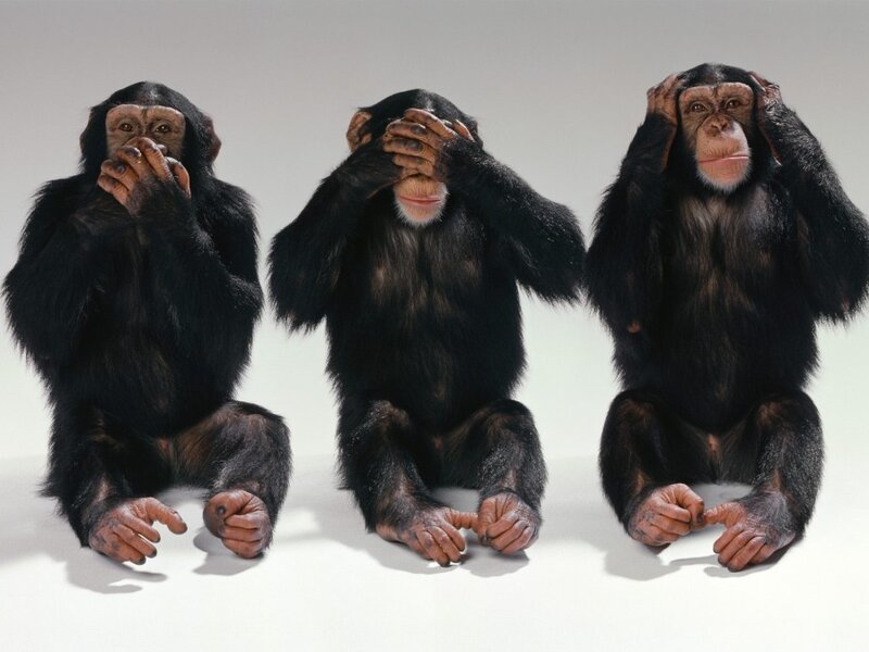 Three Chimpanzees — Black, Neutral