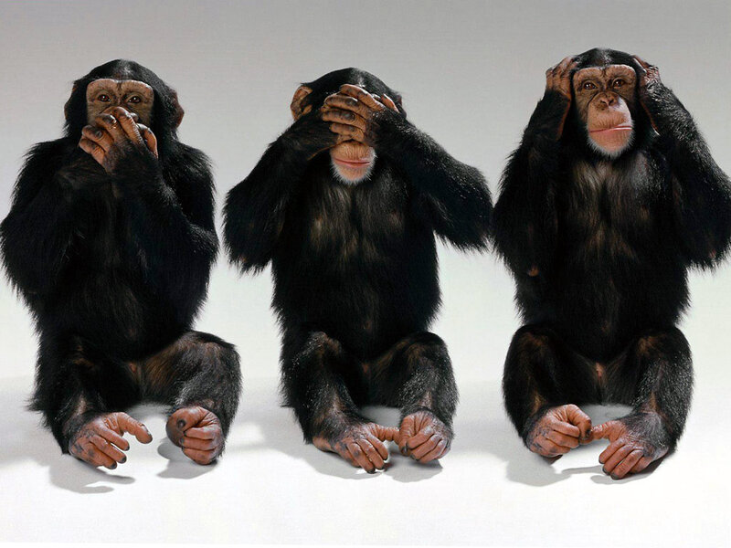 Three Chimpanzees Sitting — Black