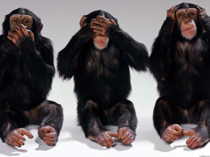 Three Chimpanzees