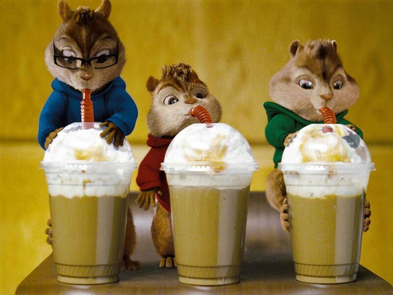 Three Chipmunks Drinking