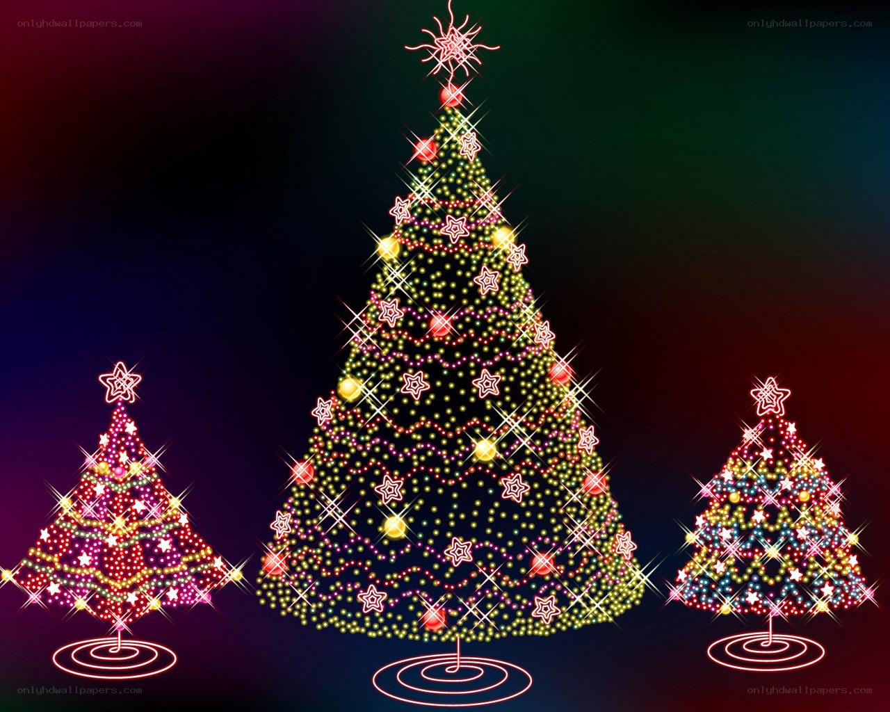Three Christmas trees with lights
