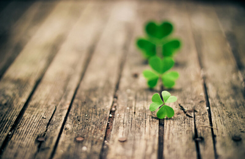 Three Clover Leaves