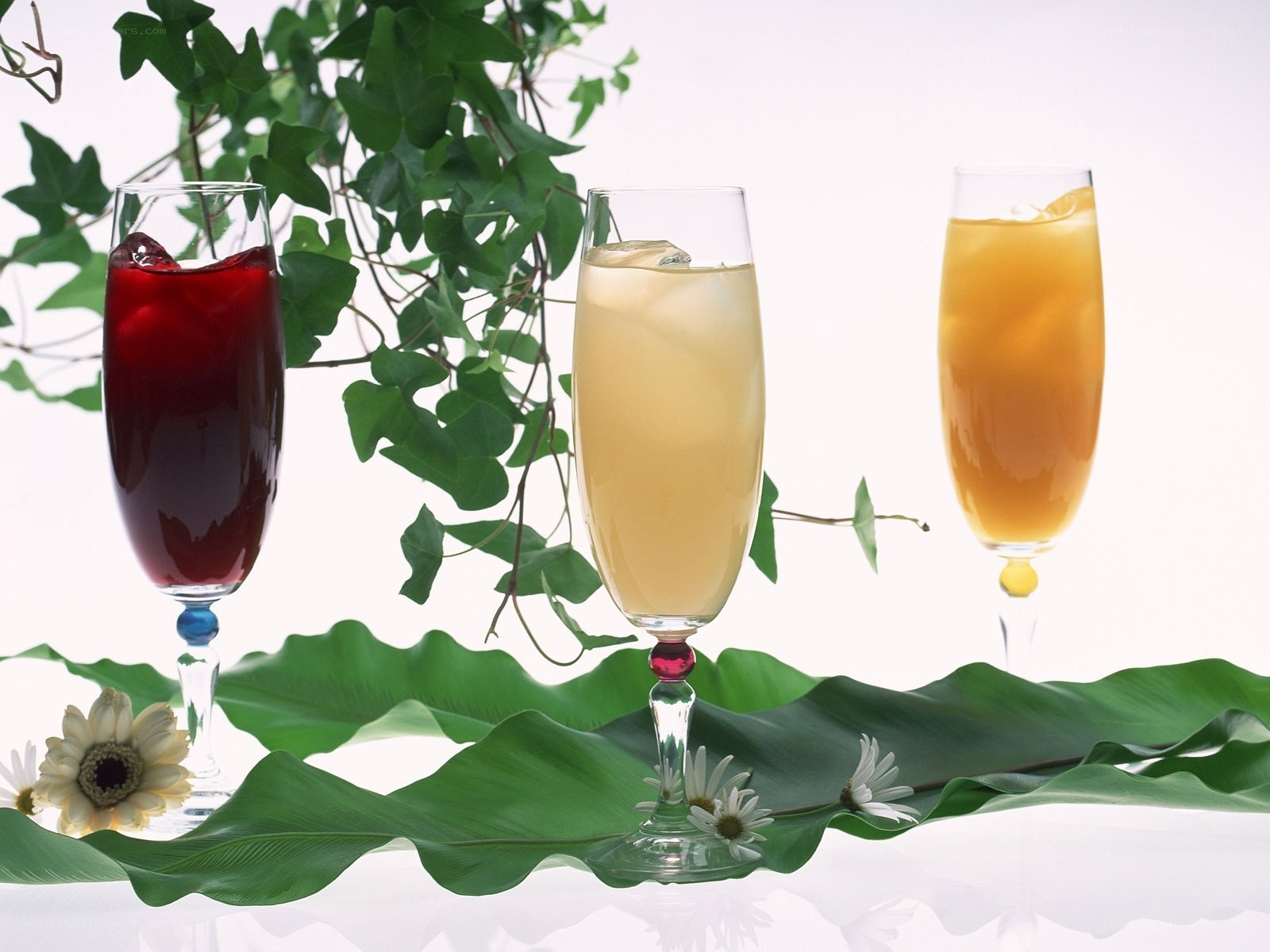 Three cocktails with green leaves