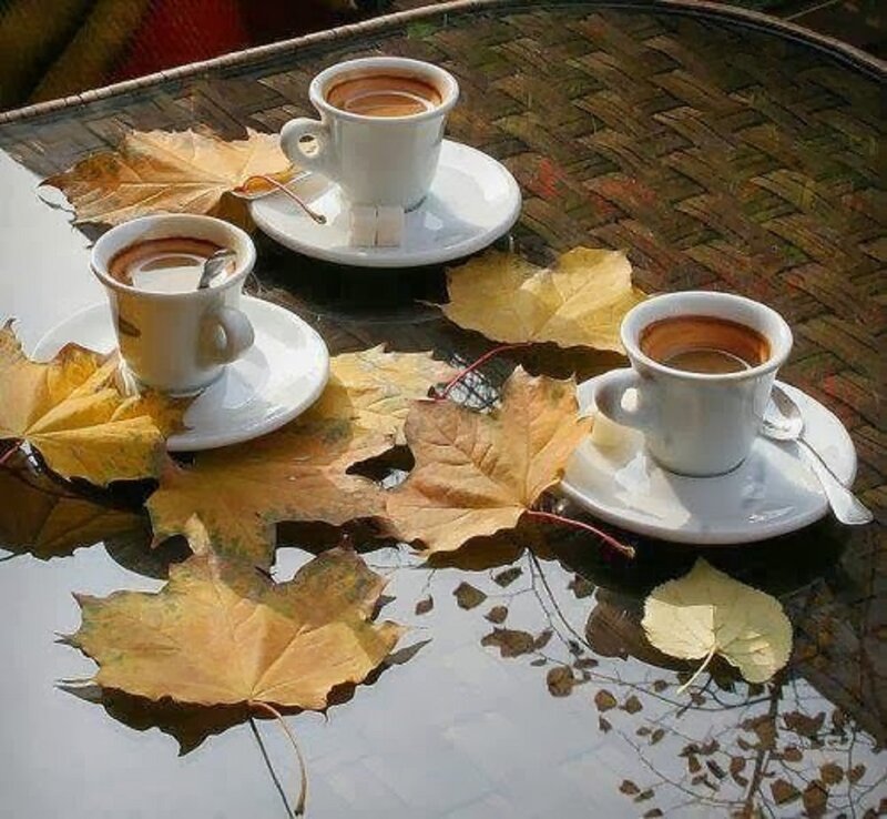 Three Coffee Cups on Table