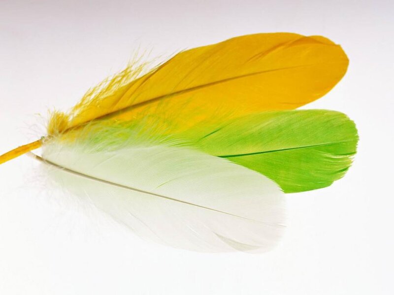 Three Colored Feathers — Yellow