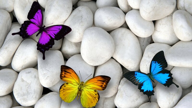 Three Colorful Butterflies — Purple, Serene, Digital Art