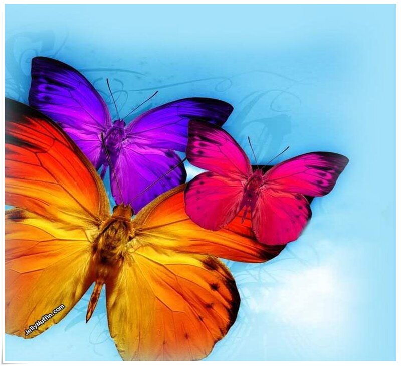 Three Colorful Butterflies — Purple, Vibrant