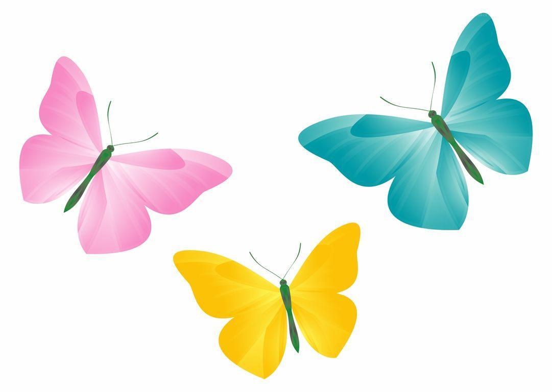 three colorful butterflies