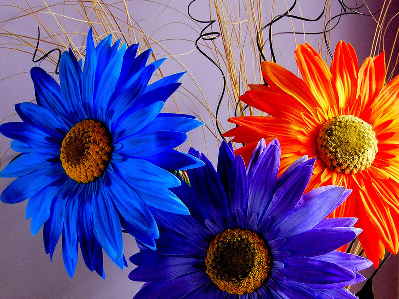 Three Colorful Flowers — Blue