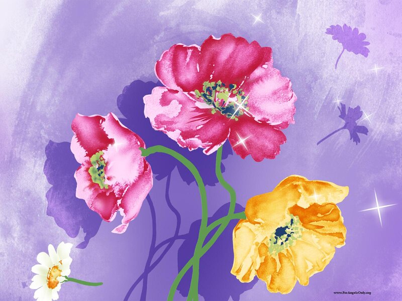 Three Colorful Flowers — Purple