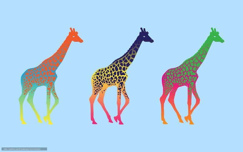 Three Colorful Giraffes — Blue