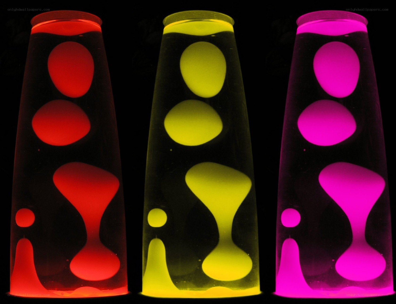 Three colorful lava lamps