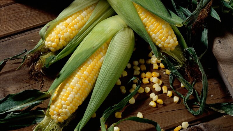 Three Corn Cobs on Wood — Yellow, Natural