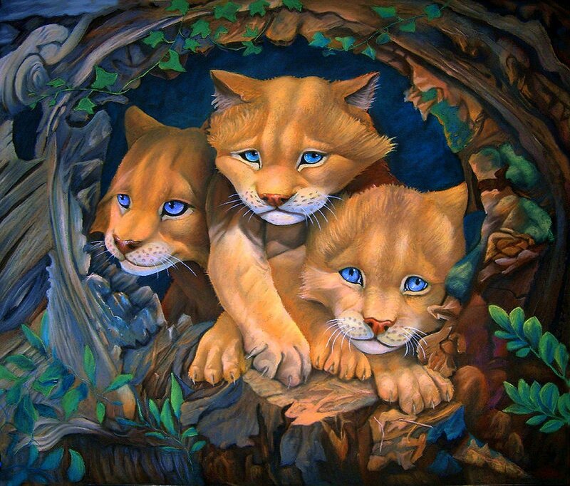 Three Cougar Cubs — Brown, Curious