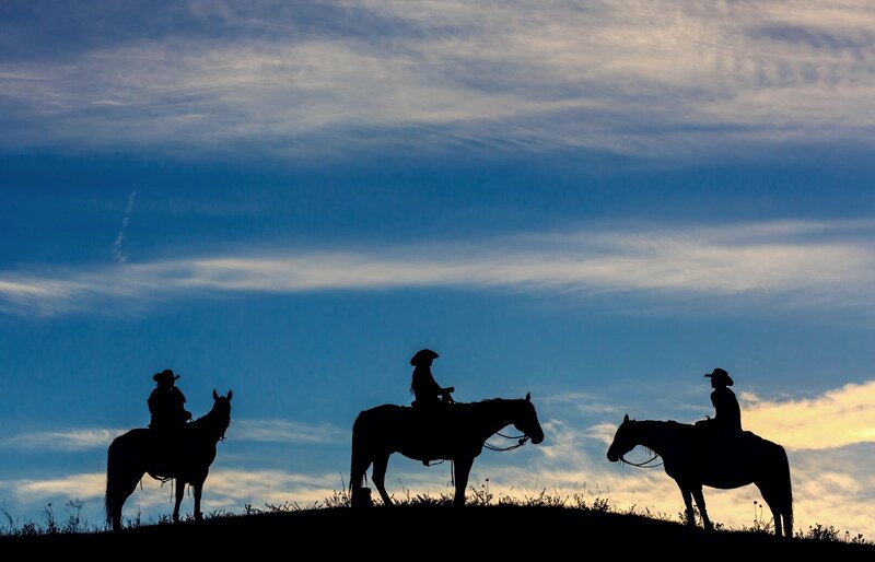 Three Cowboys on Horses