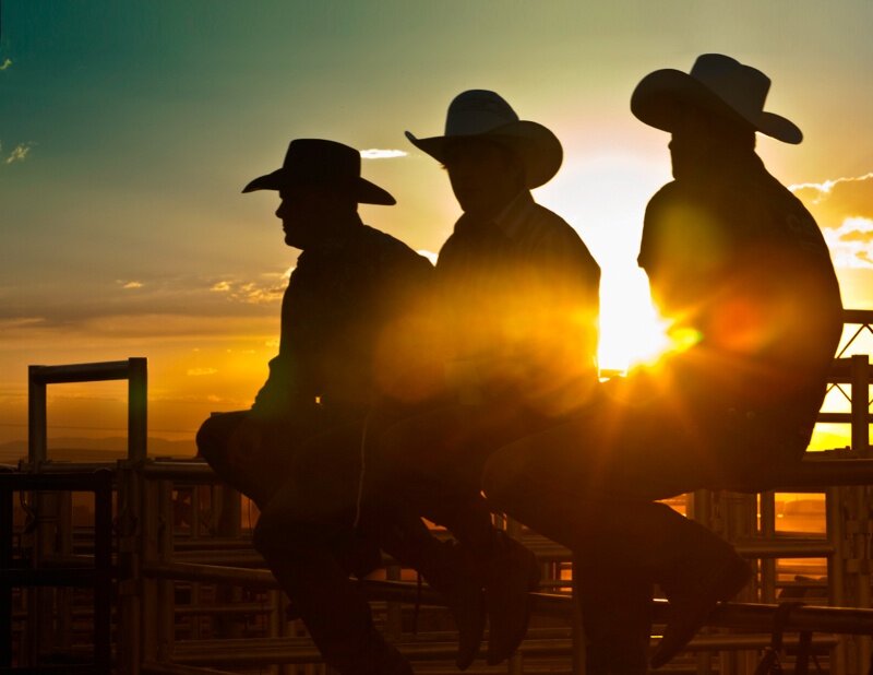 Three Cowboys Silhouetted