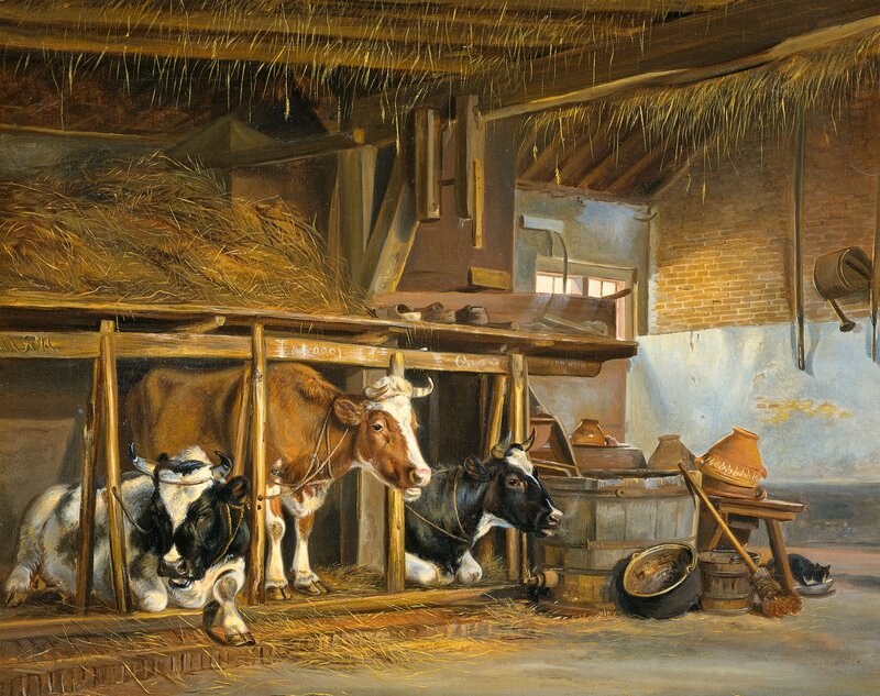 Three Cows in Barn