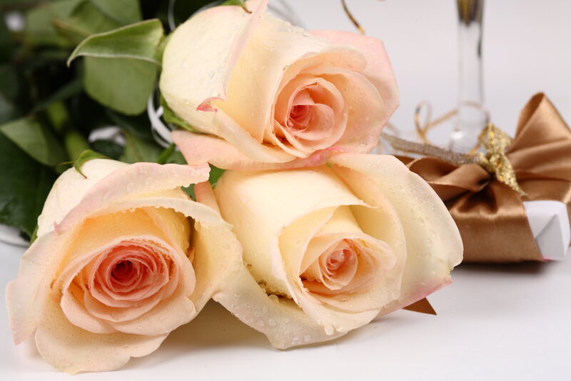Three Cream Roses