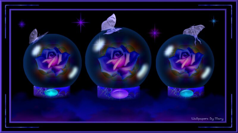 Three Crystal Balls with Roses