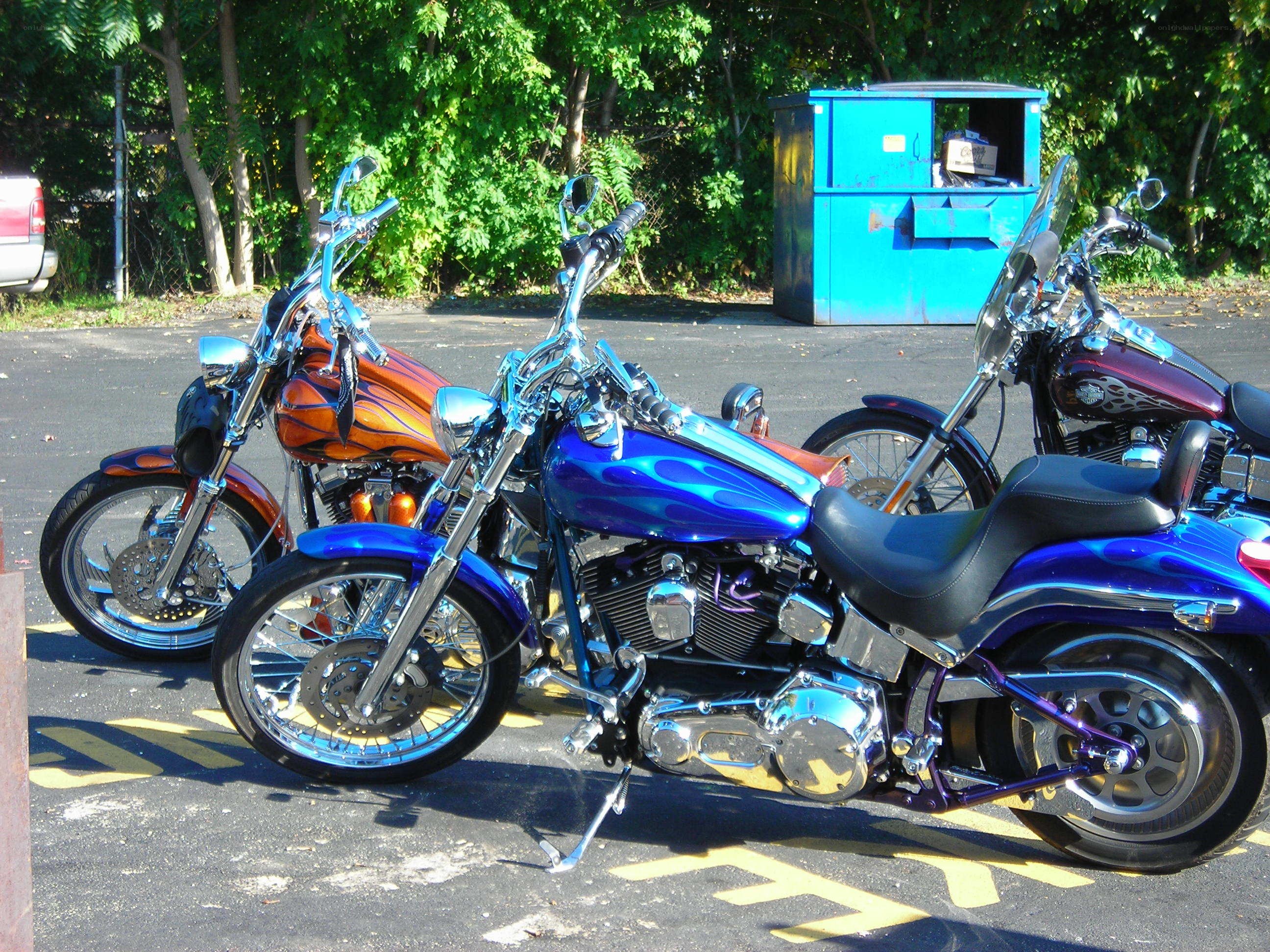 Three custom motorcycles parked