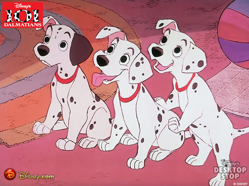 Three Dalmatian Puppies — White