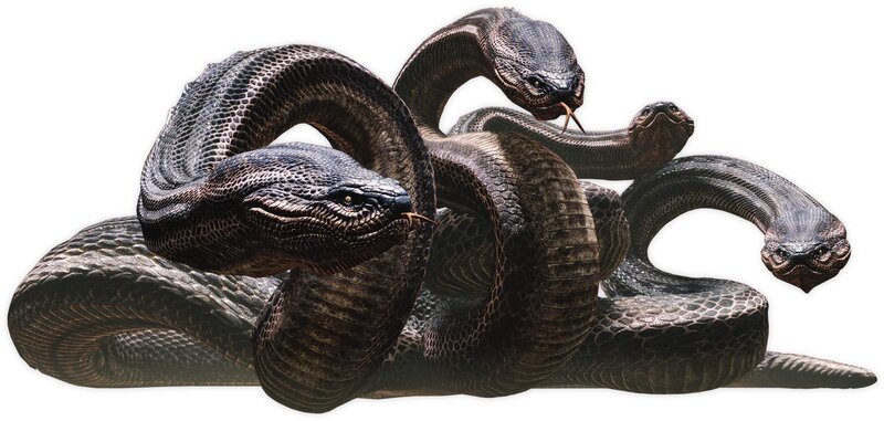 three dark snakes coiled together