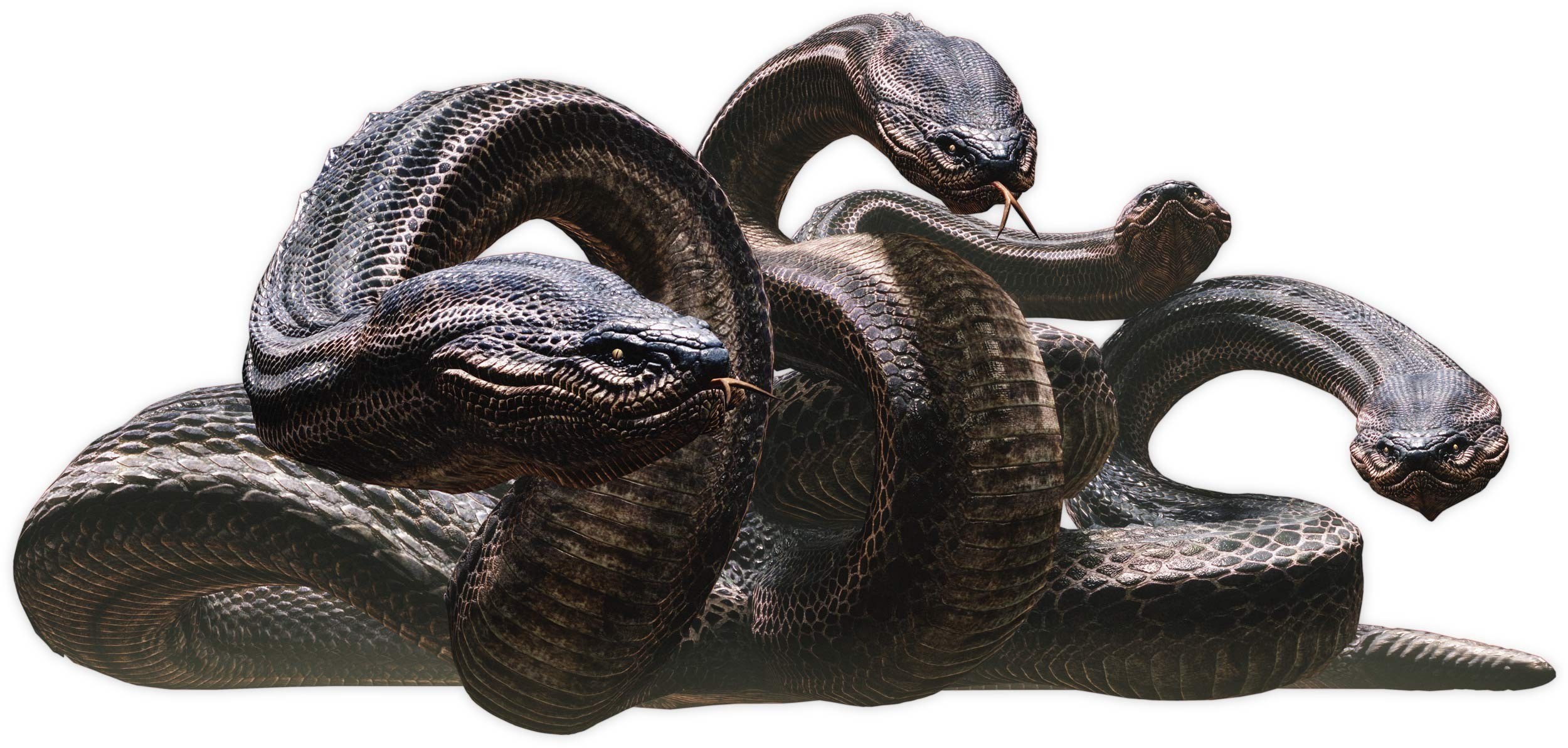 three dark snakes coiled together