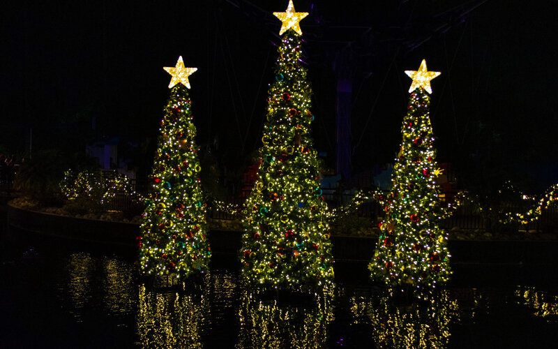 Three Decorated Christmas Trees — Green, Festive, Night