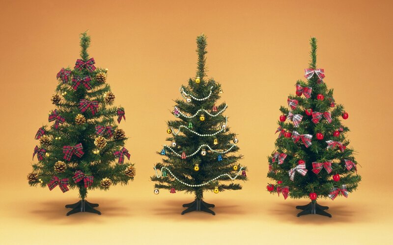 Three decorated Christmas trees